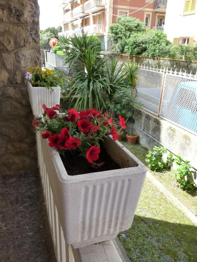 Flamingo & Cactus By The Sea * Levanto